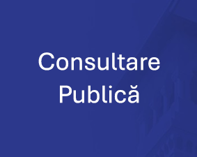 Consultare publică